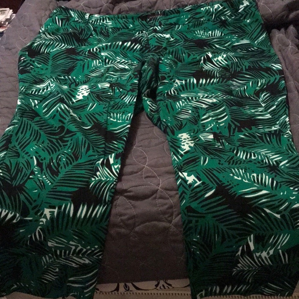 Ladies pants
